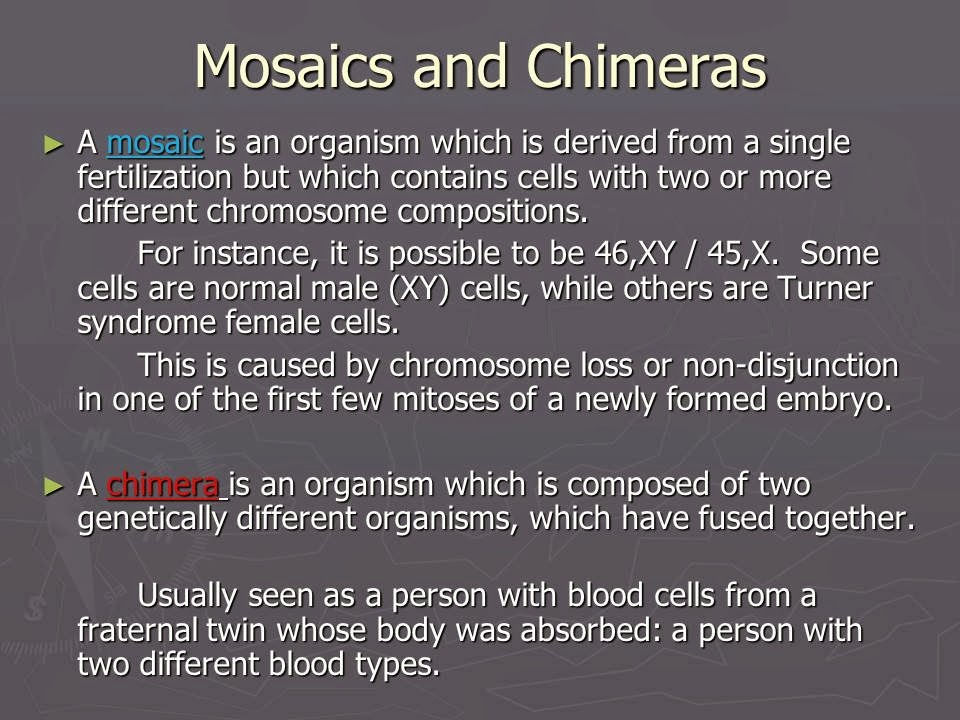 Slide 27
