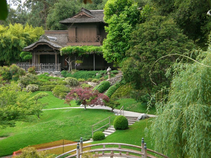 Typical Adventures: Huntington Library Gardens Visit