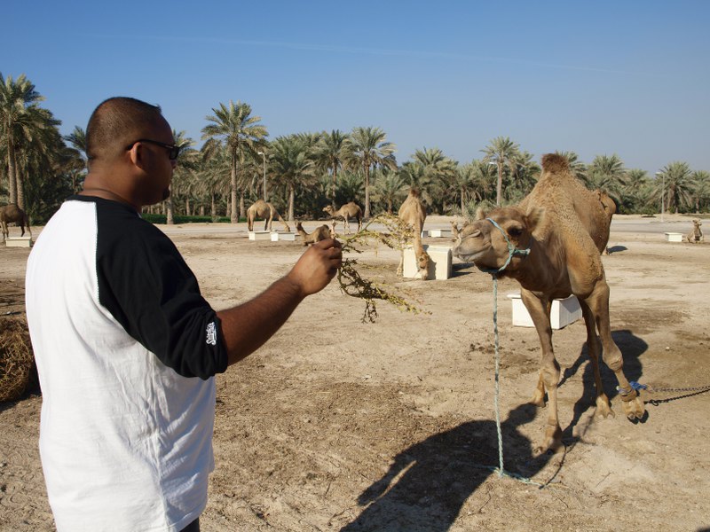 8 week old feeding frenzy