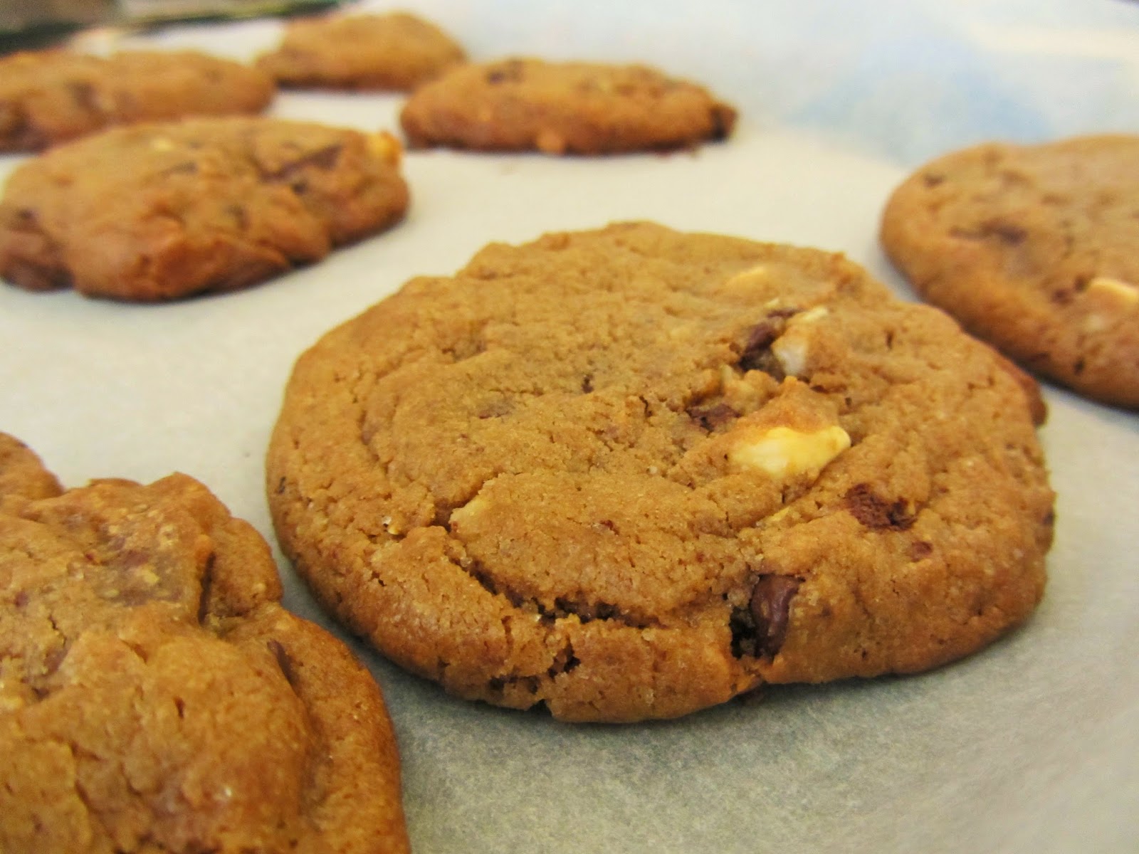 amerikanske sjokolade cookies amerikanske sjokolade cookies