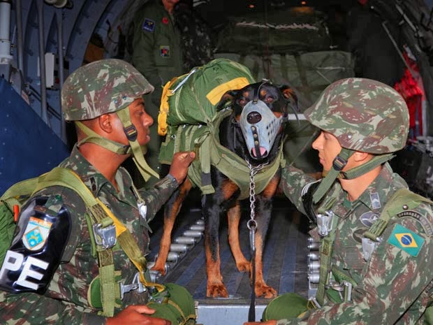 Cão salta de paraquedas em operação do Exército no RJ