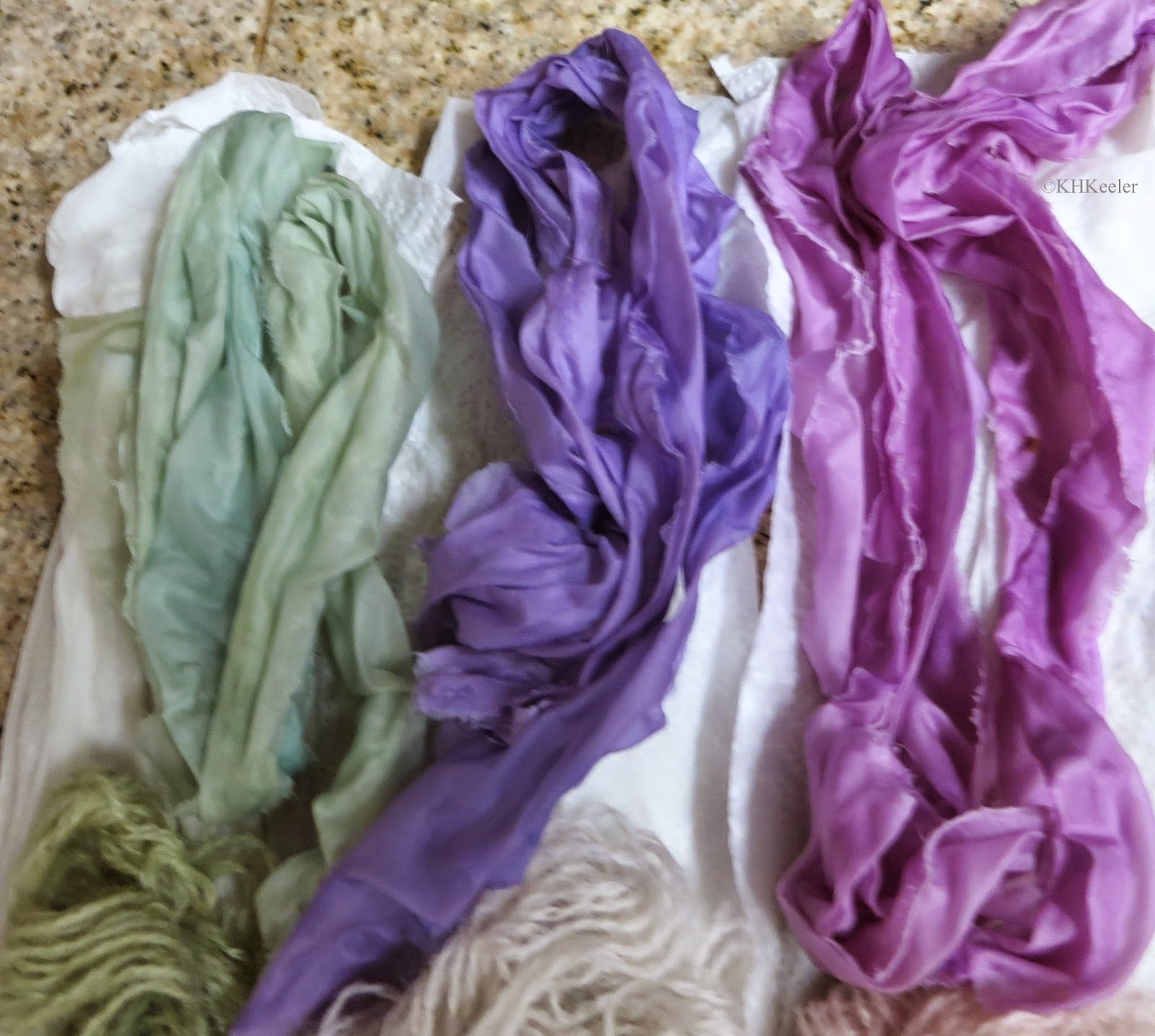 A Wandering Botanist Dye Plant Colors of Red Cabbage