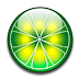LimeWire Pro v5.5.16 Portable