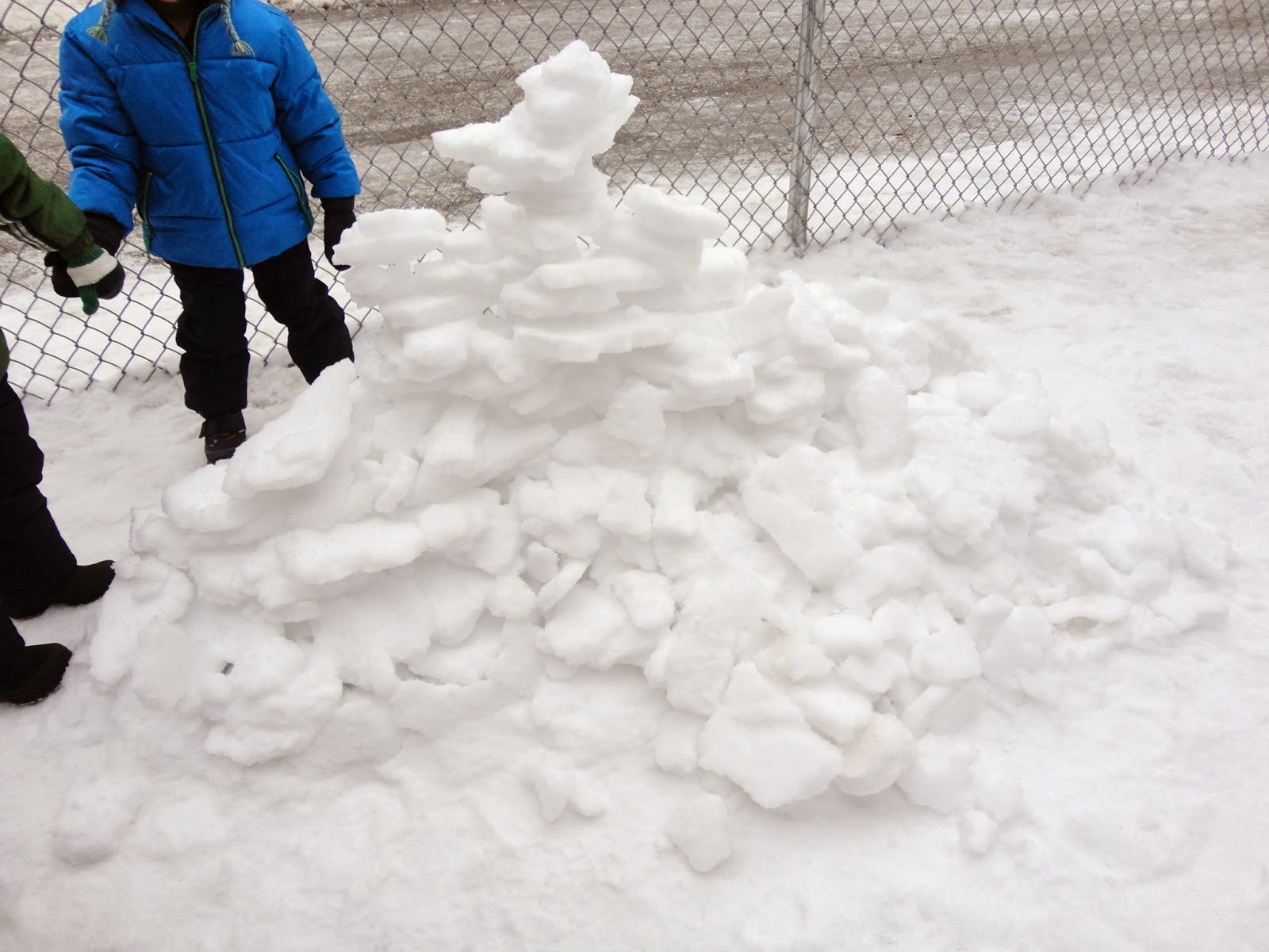 I LEARNED IT IN KINDERGARTEN!: Winter Inquiry
