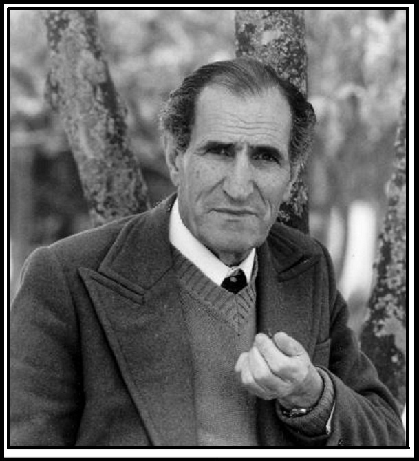 Portuguese Writers Miguel