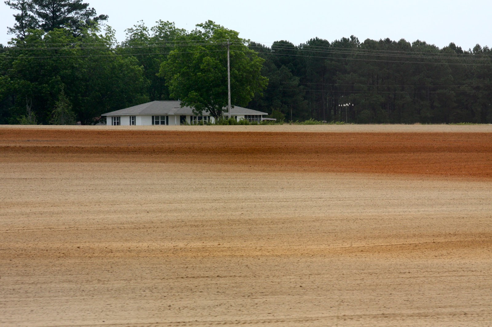 Cahjocky and the "Old Salt" That Good Old Alabama Red Dirt