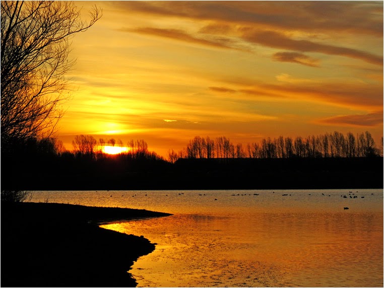 emphoka, photo of the day, Robert Felton, Canon PowerShot SX40 HS emphoka, photo of the day, Robert Felton, Canon PowerShot SX40 HS