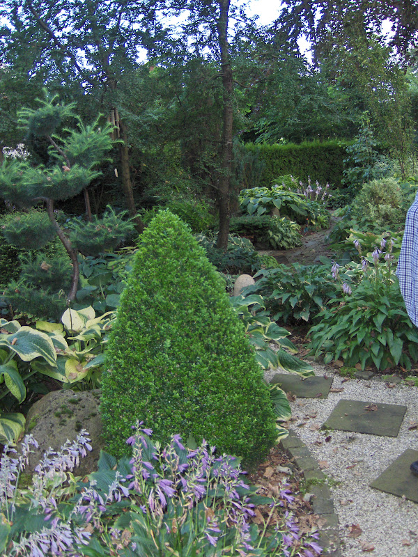 Lad romantikken blomstre: hosta hans