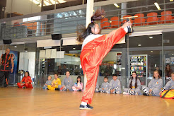 Mestre Senna, Maestro Senna, GrandMaster Senna - Kung-Fu Cursos Infantil y Adultos.