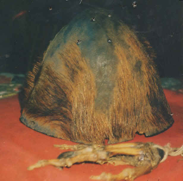 Wisdom Quarterly American Buddhist Journal Yeti lends helping hand to