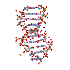 Moving image of DNA animated .gif