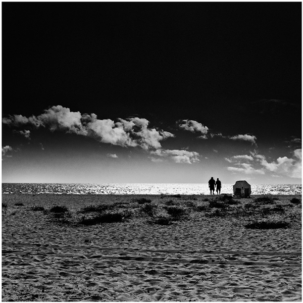 Monochrome Mini Competition #551