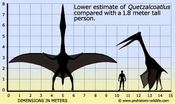 quetzalcoatlus wingspan quetzalcoatlus wingspan