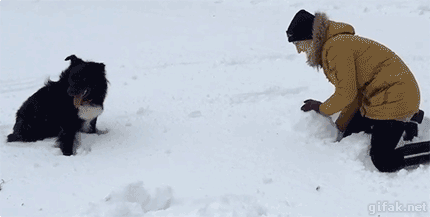 http://2.bp.blogspot.com/-rsWEsyWzzek/VLVsYuROdiI/AAAAAAABRL8/S5b5LiQn1D0/s1600/07-funny-gif-133-dog-snow.gif