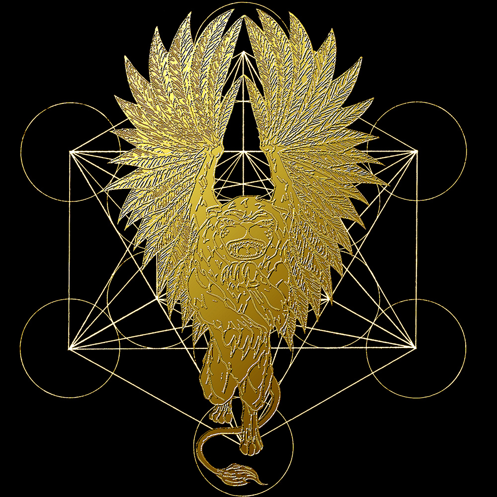 Calluna Magazin 2019