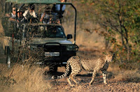 top 10 tour tips in south africa