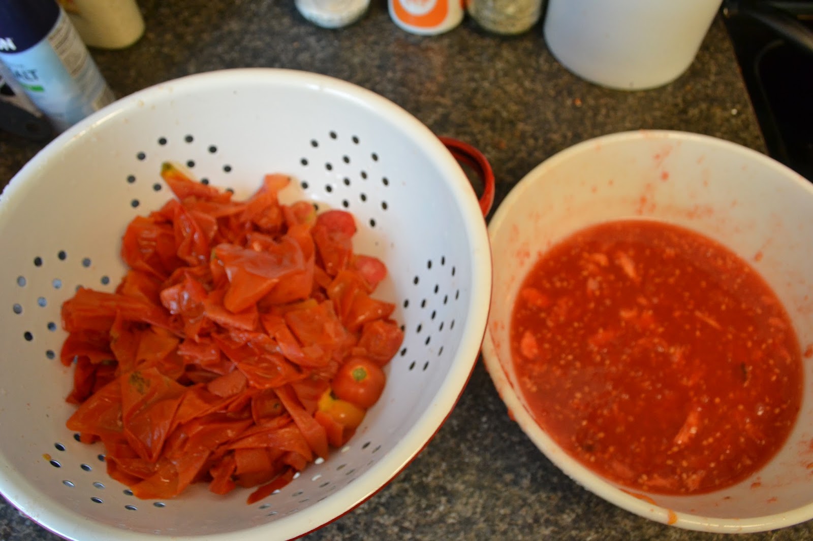 TIP GARDEN Tomato Powder & Tomato Juice using Peels and Canning Scraps