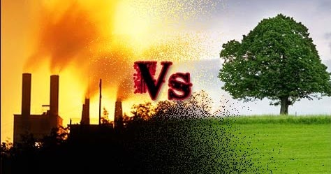 Environmental Degradation Costs India $80 Billion Annually