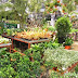 Fang Kiat Florist & Landscaping