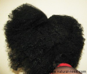 Search Results For African Hair Threading Curlynikki Natural