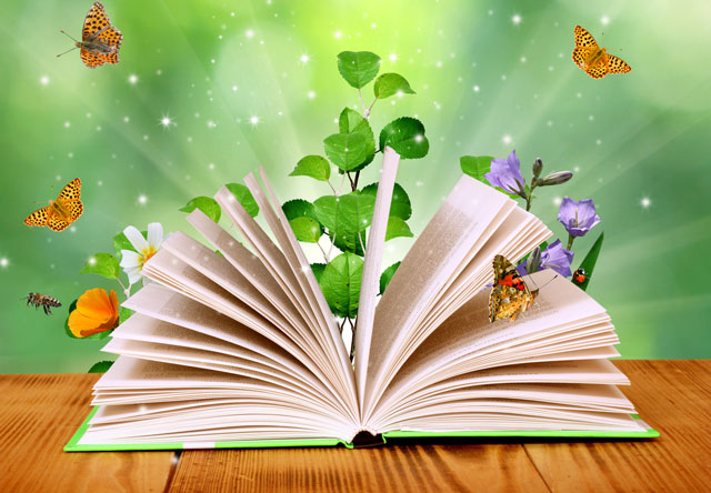 Libro y mariposas