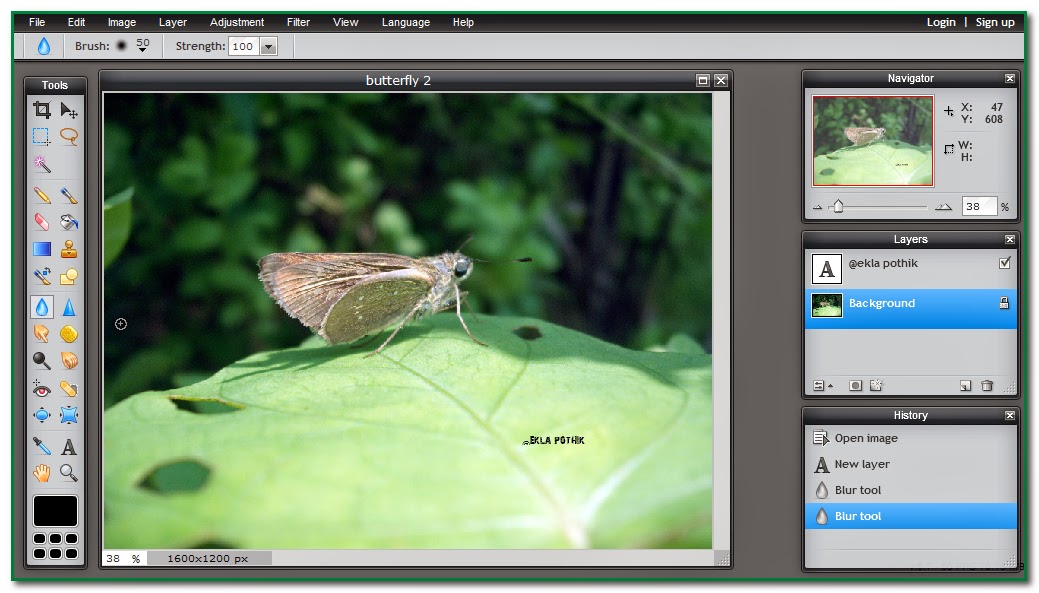 Photo Editor Best free tools for photo editor online