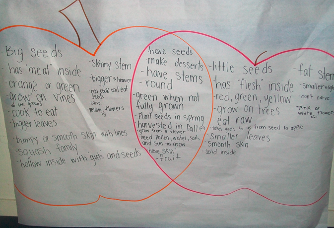 s first grade snippets pumpkin measuring apples and pumpkins venn diagram
