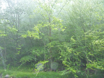 rain