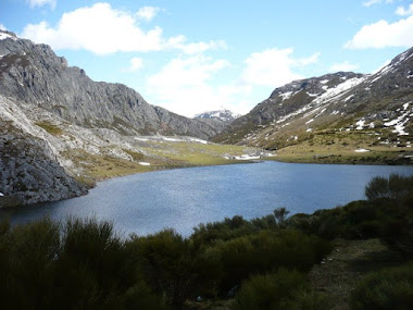 LAGO DE ISOBA EN LILLO