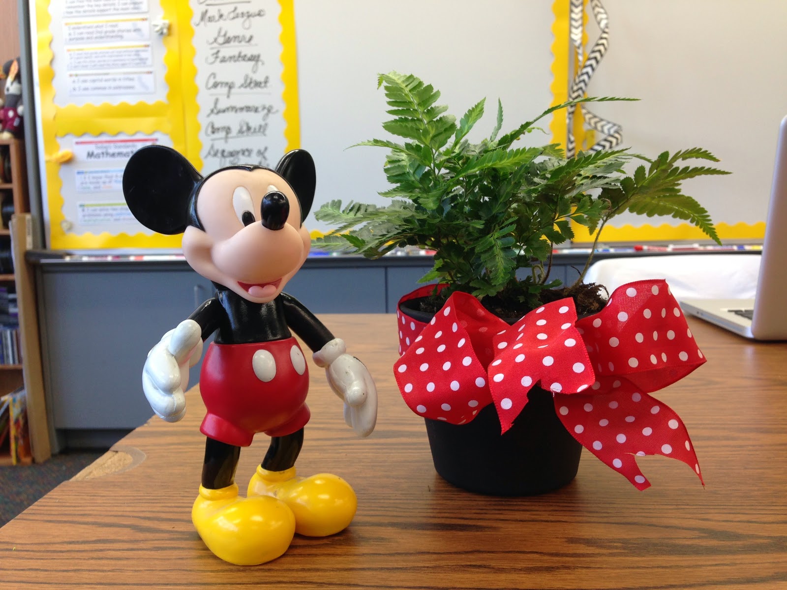 The Disney Teacher Eureka School