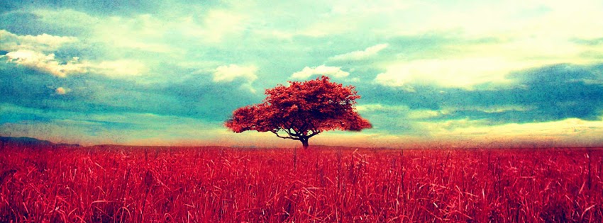 facebook kapak fotografi facebook icin manzara kapak fotograflari