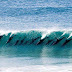 Dolphins Call each other by Name