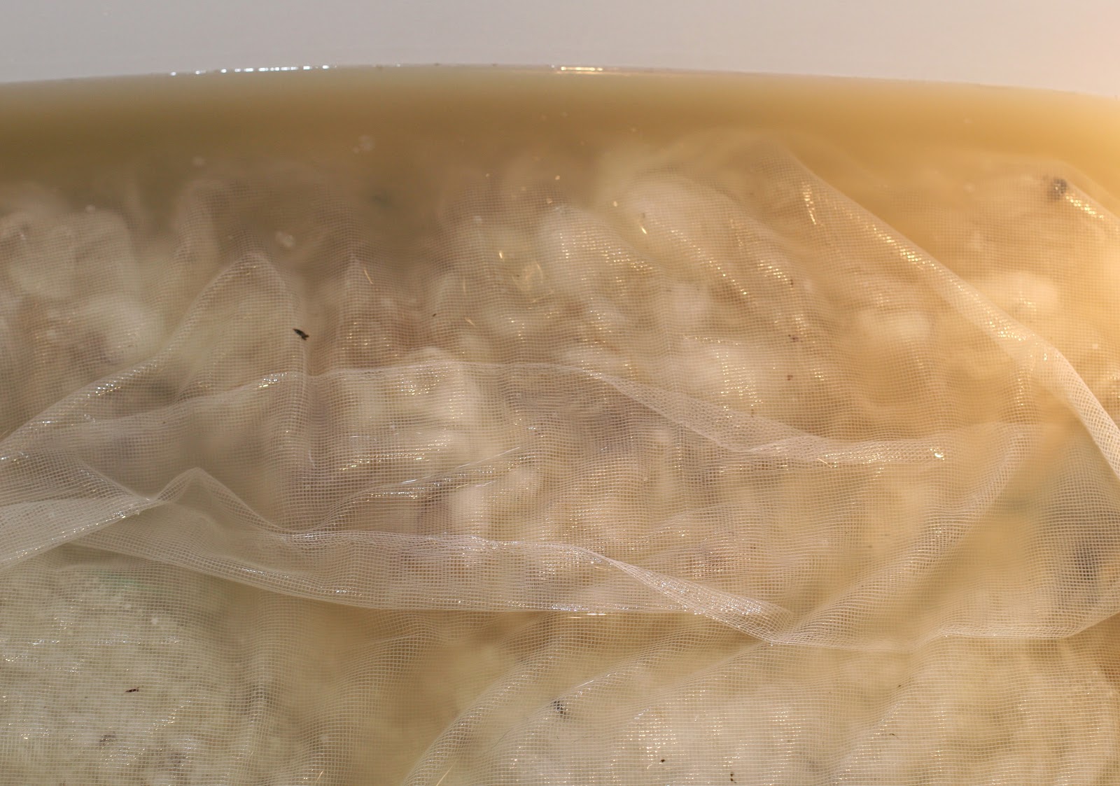 lavendelblau: Juli 2012