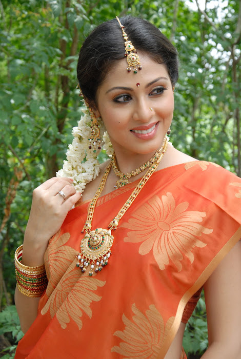 sada gorgeous in beautiful orange saree unseen pics