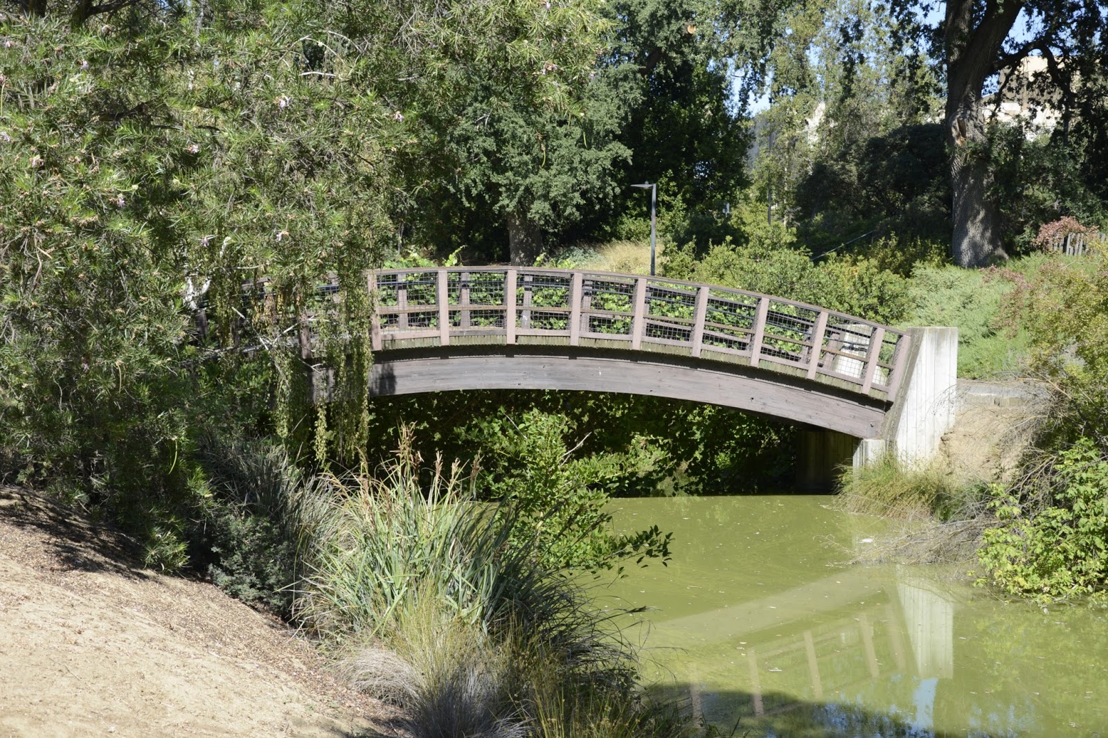 Bridge of the Week Yolo County, California Bridges UC Davis