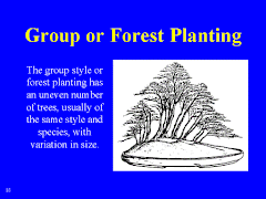 Group Or Forest Planting