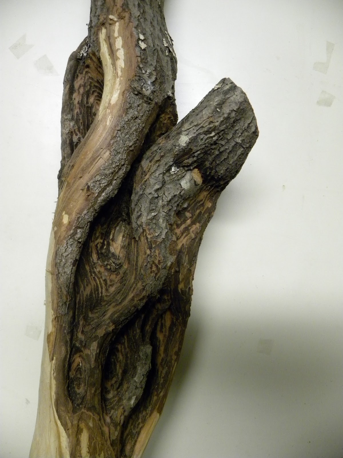 BYTES Craft Treasures Diamond Willow