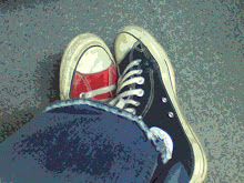 My Photo