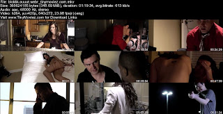 Blackout (2013) WEBRip 350MB