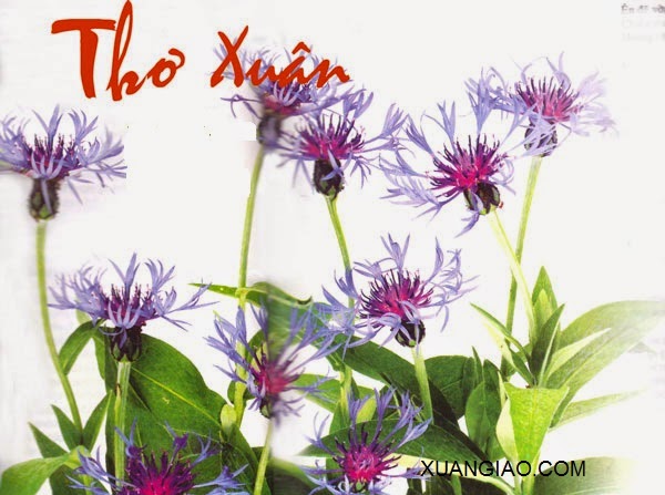 Chùm thơ tết mừng xuân 2015