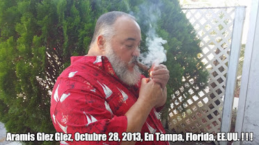 Aramis Gonzalez Gonzalez, Octubre 28, 2013, En Tampa, Florida, EE.UU.