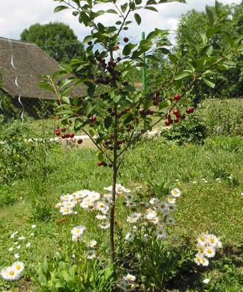 Naglern Ranch Das Leben Ist Kein Eigenbau