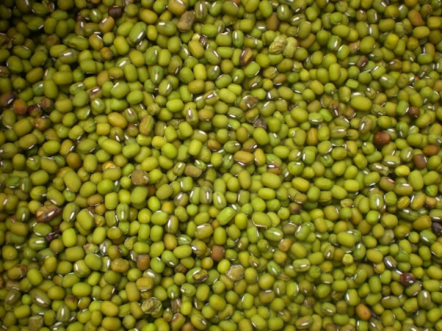 Manfaat kacang hijau bagi kesehatan dan ibu hamil