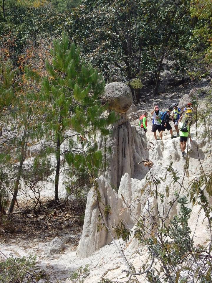 CÃmara rodante: febrero 2015 De creativo Piedra camino