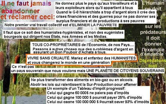 les prostituees paient elles des impots