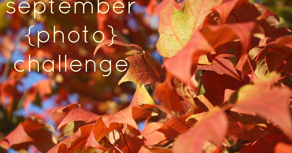 Tomorrow, with a smile.: September photo challenge.