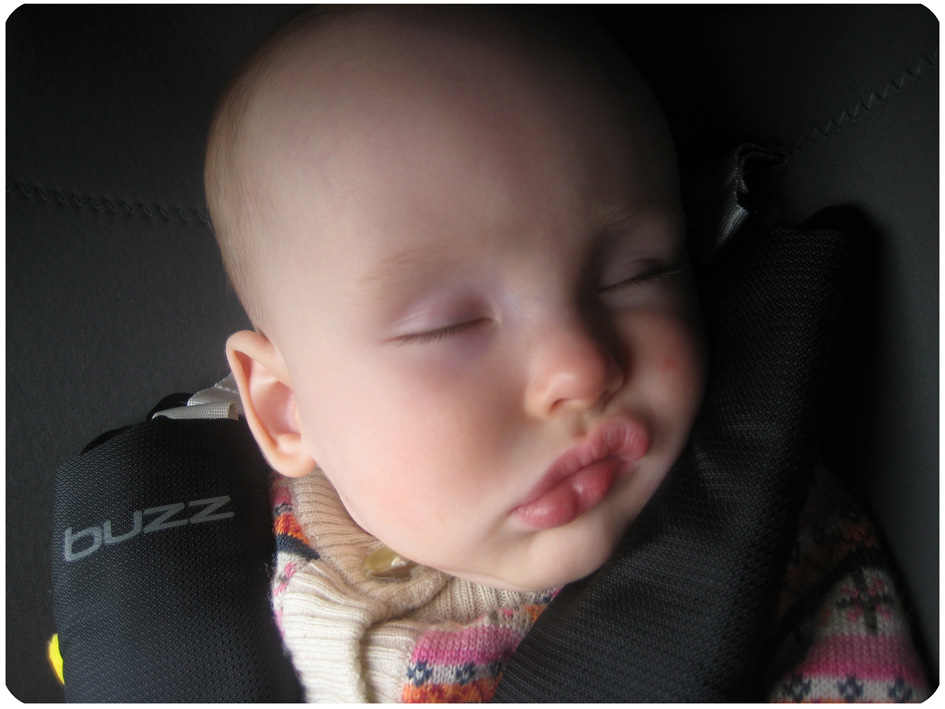 dropstitch saucy smiles and trouty pouts