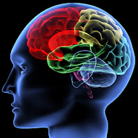 Cara Optimalisasi Daya Ingat Otak