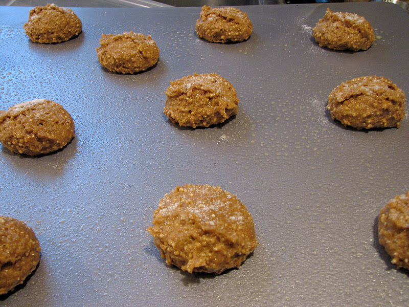 Ashleigh's Kitchen Ginger Molasses Quinoa Cookies