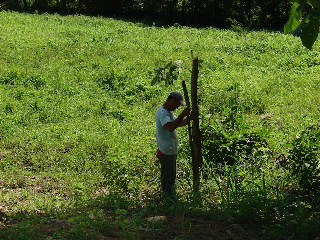 Paisajismo, pueblos y jardines: febrero 2013